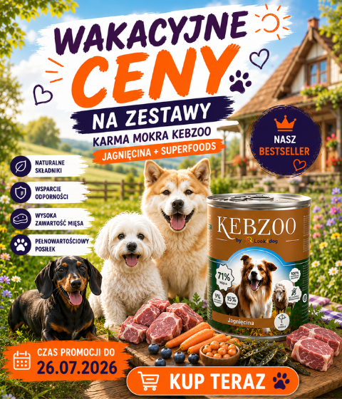 Wakacje KEBZOO 2026
